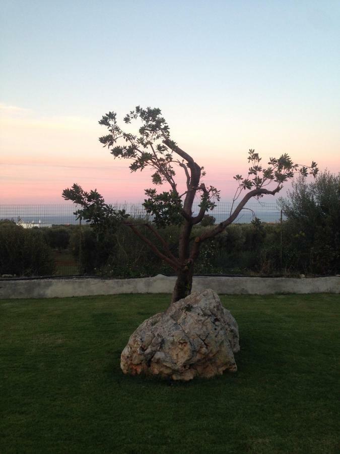 Villa Giuseppina Monopoli Buitenkant foto